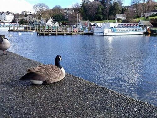 Holmlea Guest House Exclusively For Adults Windermere Bagian luar foto